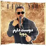 دانلود آهنگ دوست دارم از پویا